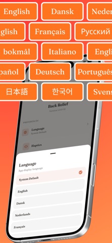 Back Pain Relief and Exercises iPhone screenshot