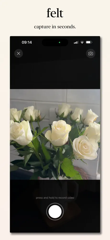 felt screenshot 2