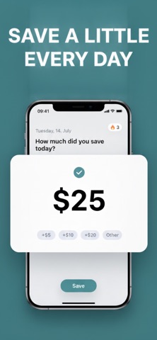 No Spend Today screenshot
