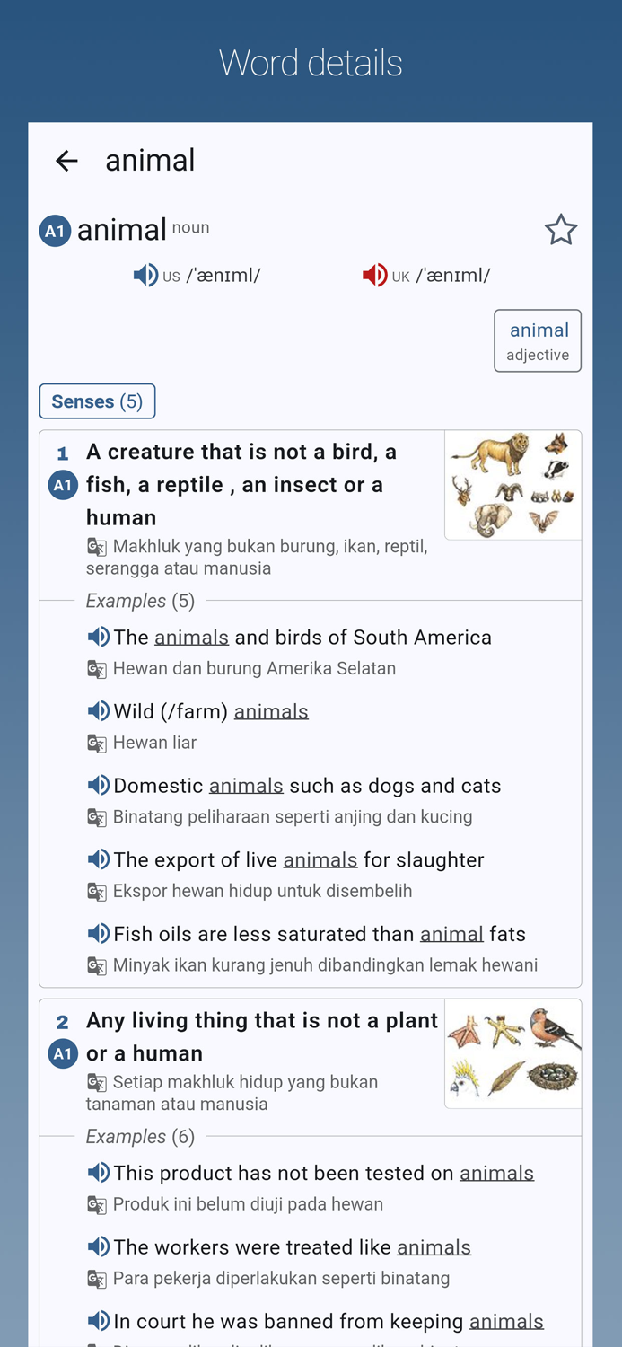 Kamus Bahasa Inggris-Indonesia