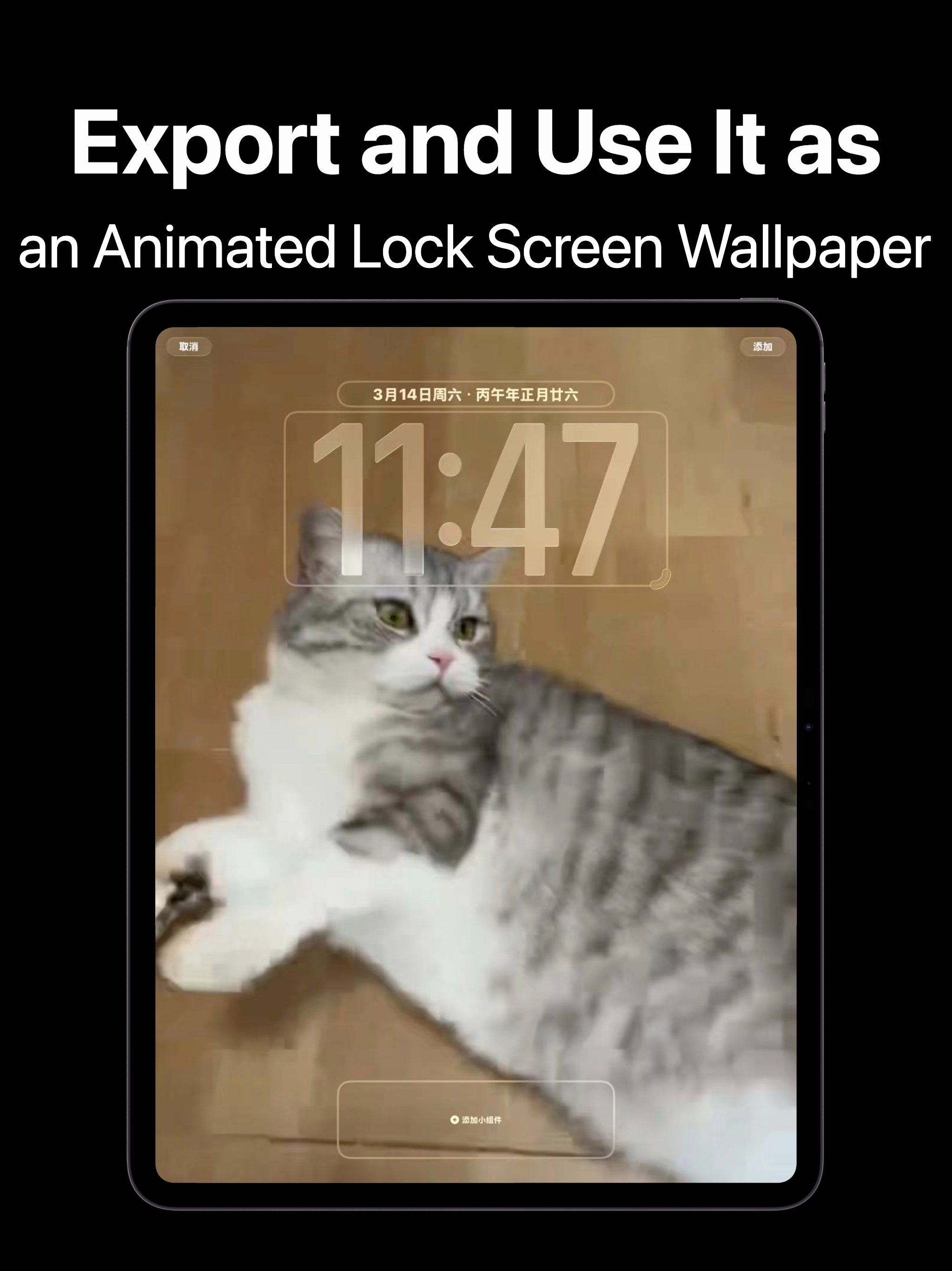 LiveMoment：Video to Live