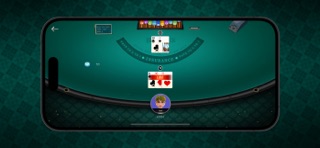 Blackjack 21 : Cards Game iPhone screenshot
