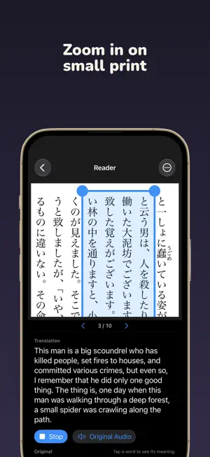 RubiMask: Book Translator screenshot 4