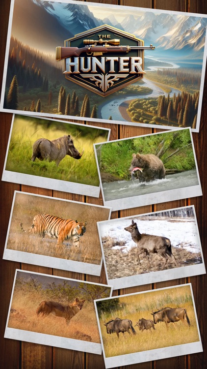 Hunting Game - Sniper Battle screenshot-3