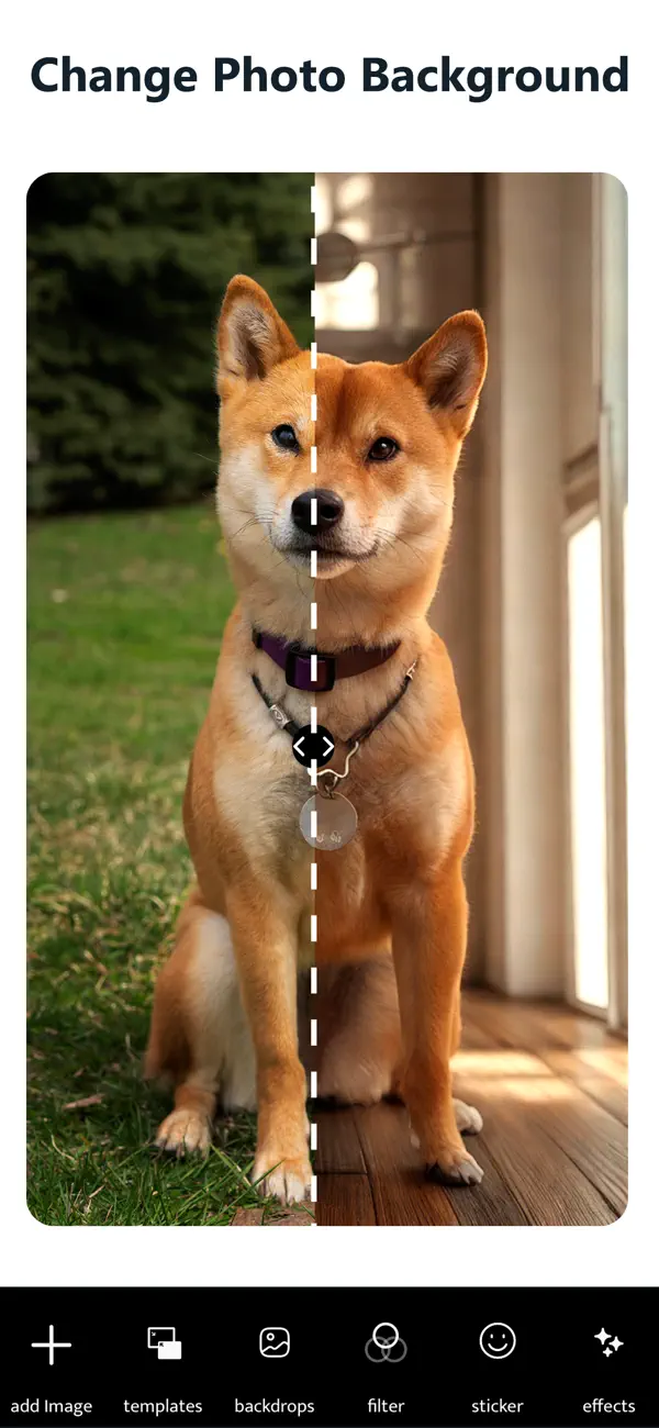 Screenshot #3 pour Photo Art - Background Changer
