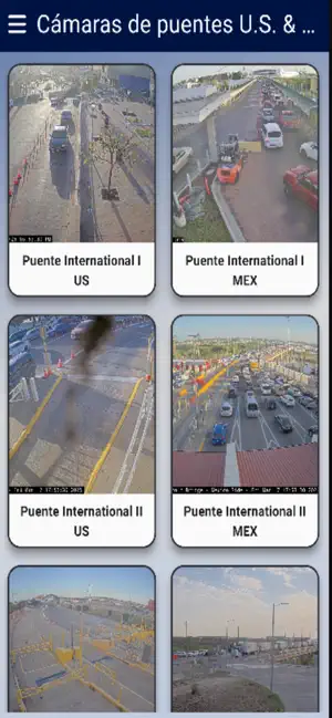 Aduanet screenshot 4