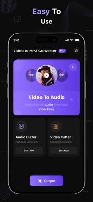 Video to MP3 Converter ™ screenshot 2