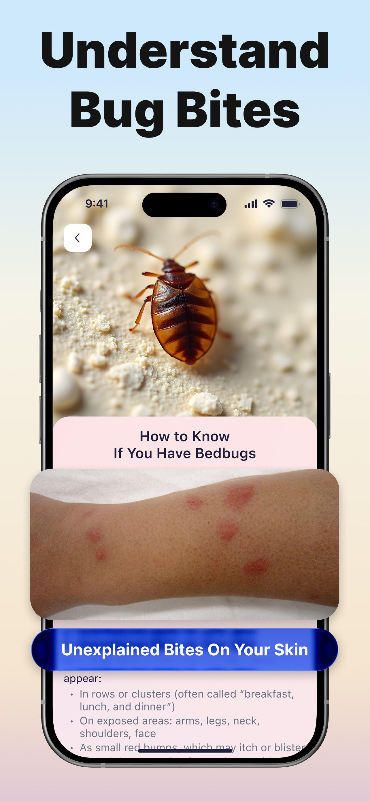 Bug ID - AI Insect Identifier