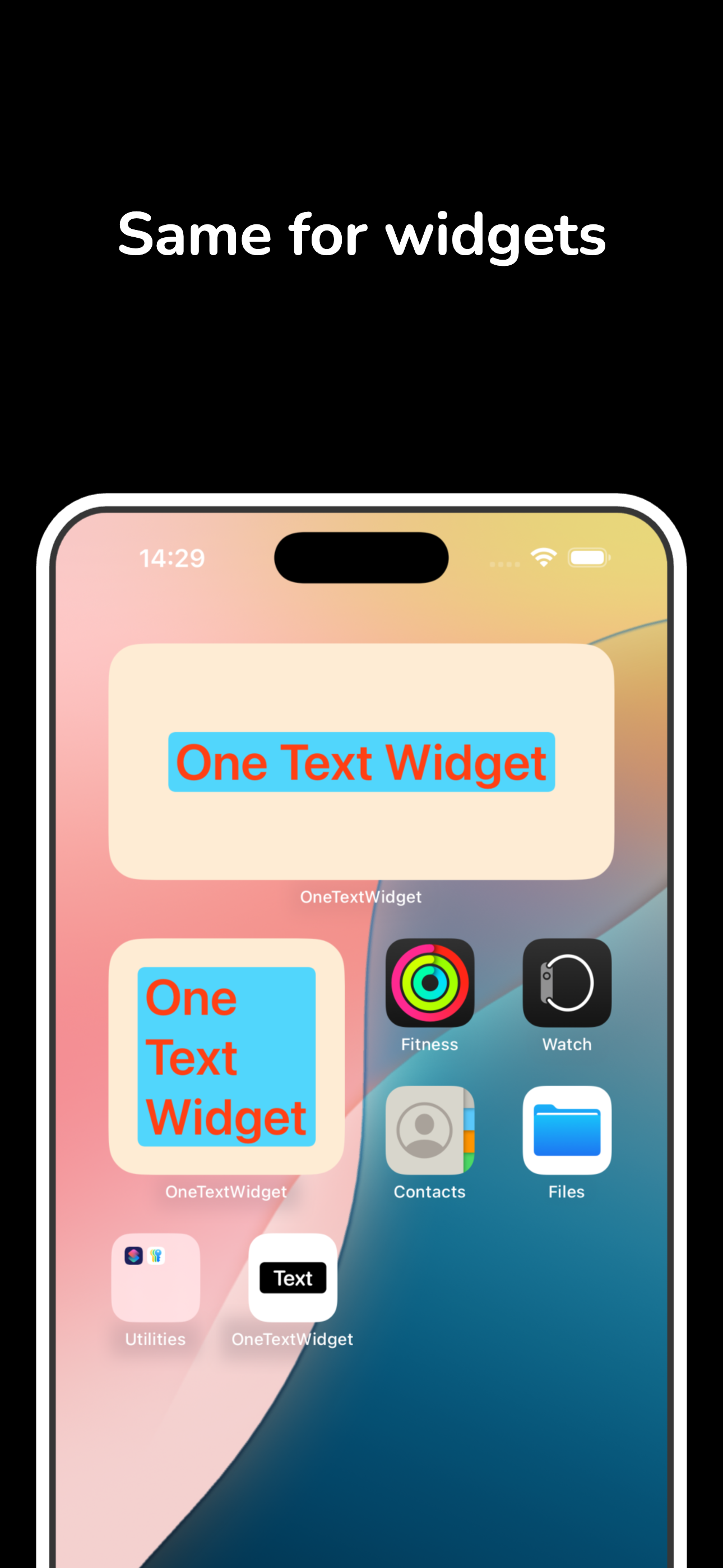 One Text Widget