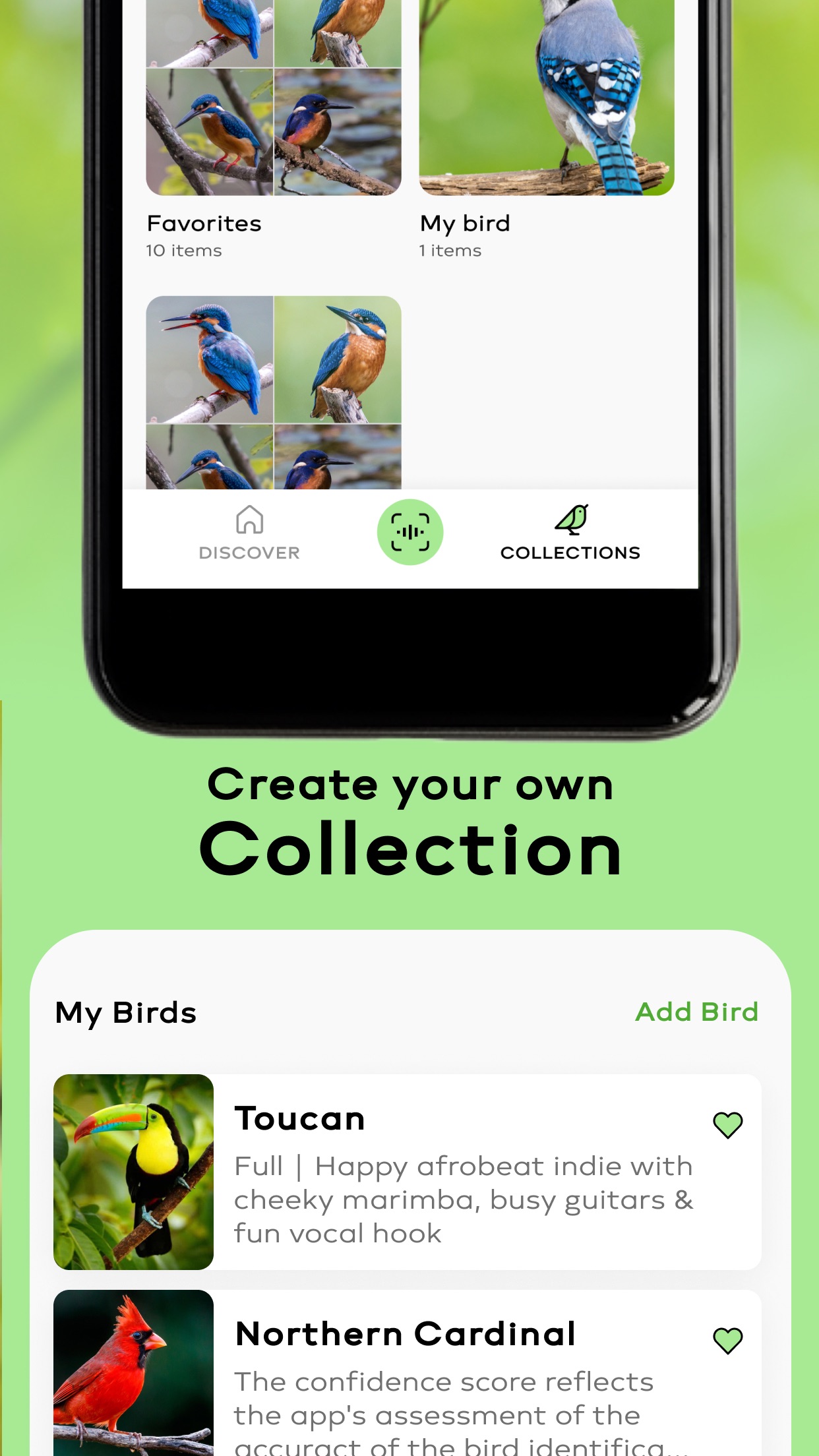 Bird Sounds Identifier Call ID screenshot 5