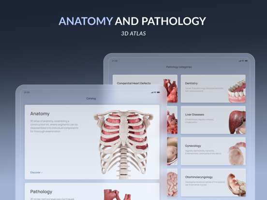 Screenshot #4 pour VOKA 3D Anatomy & Pathology