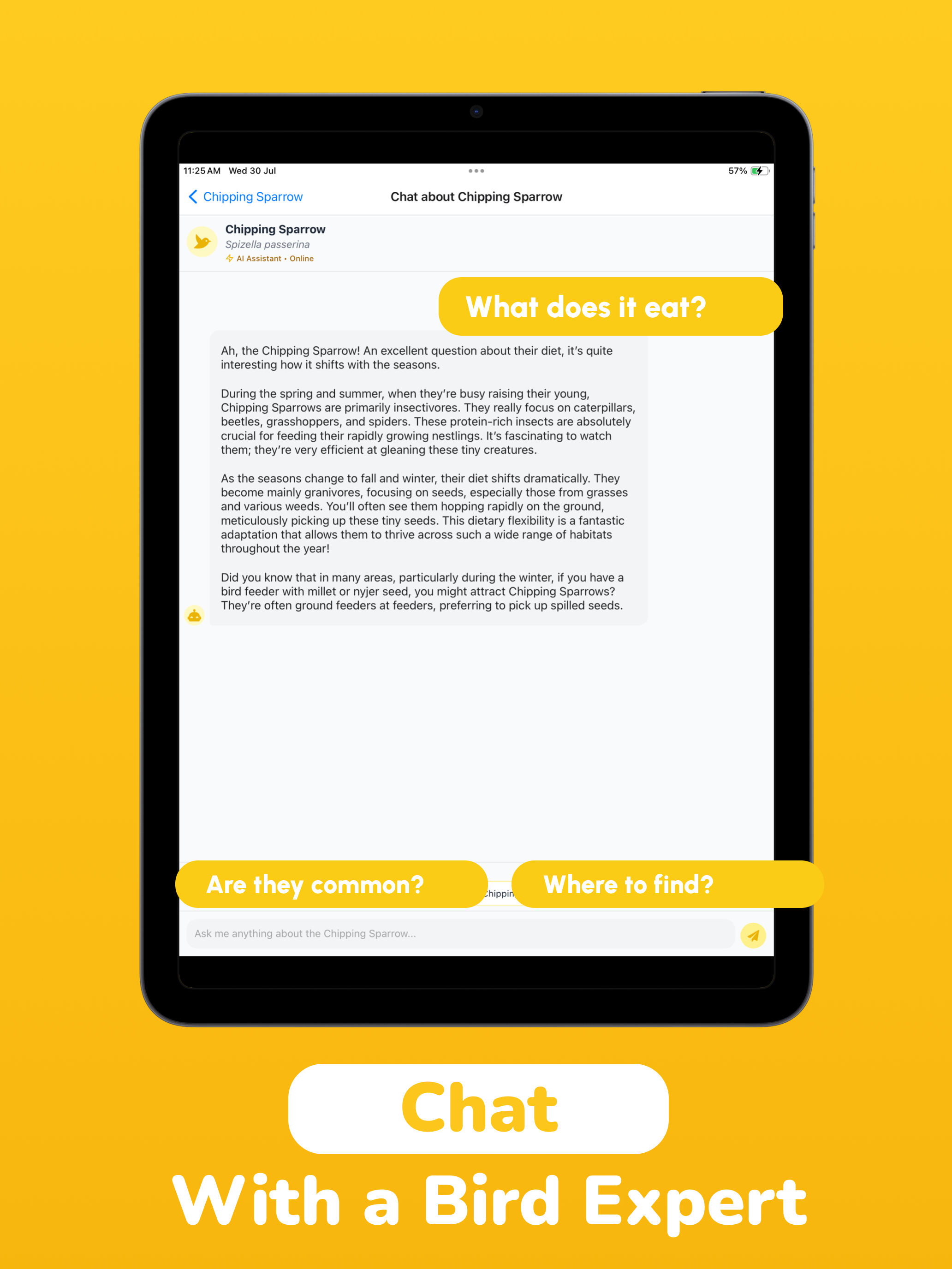 Bird Identifier: ChirpSense