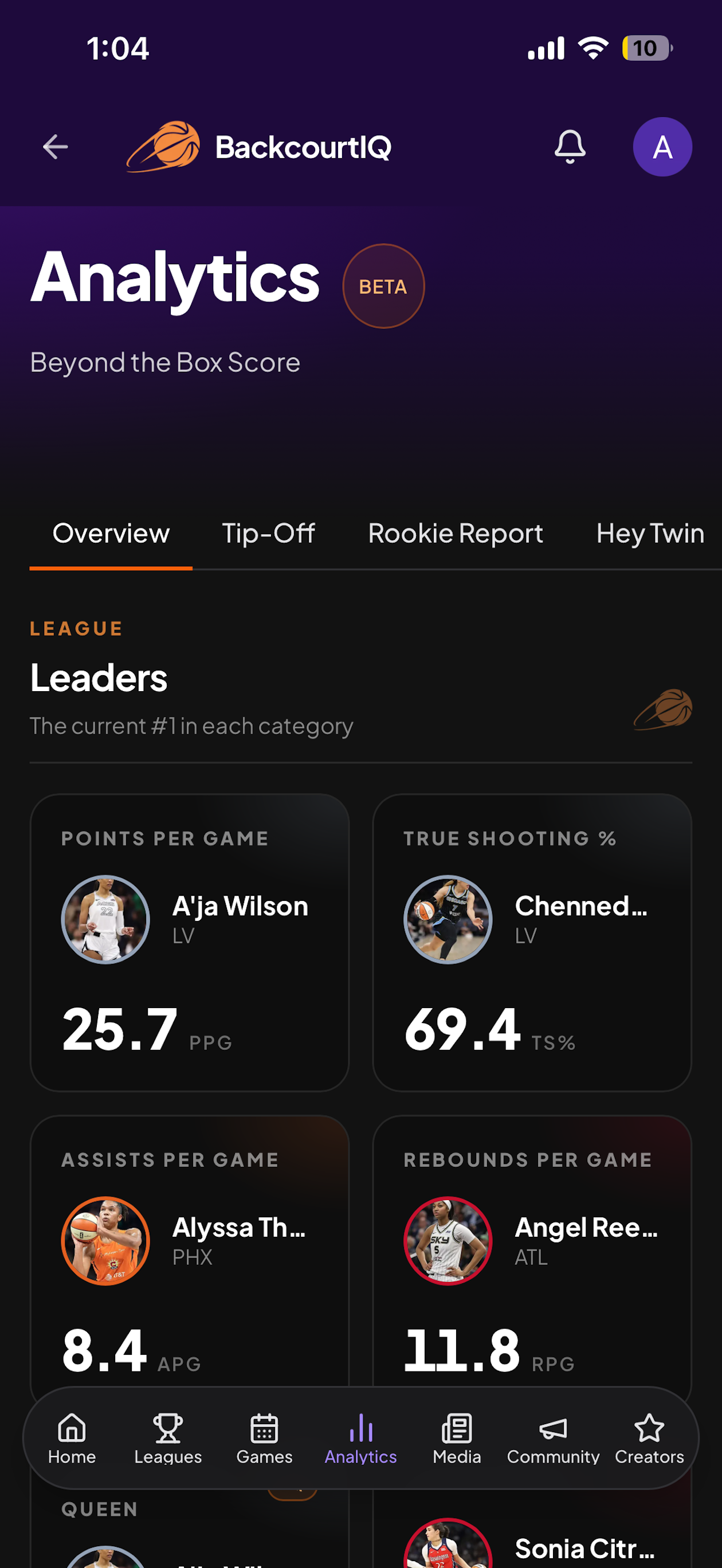 BackcourtIQ screenshot 4