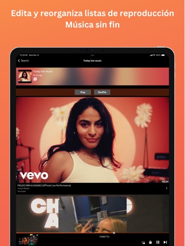 Online Música y Video Player iPad screenshot 6