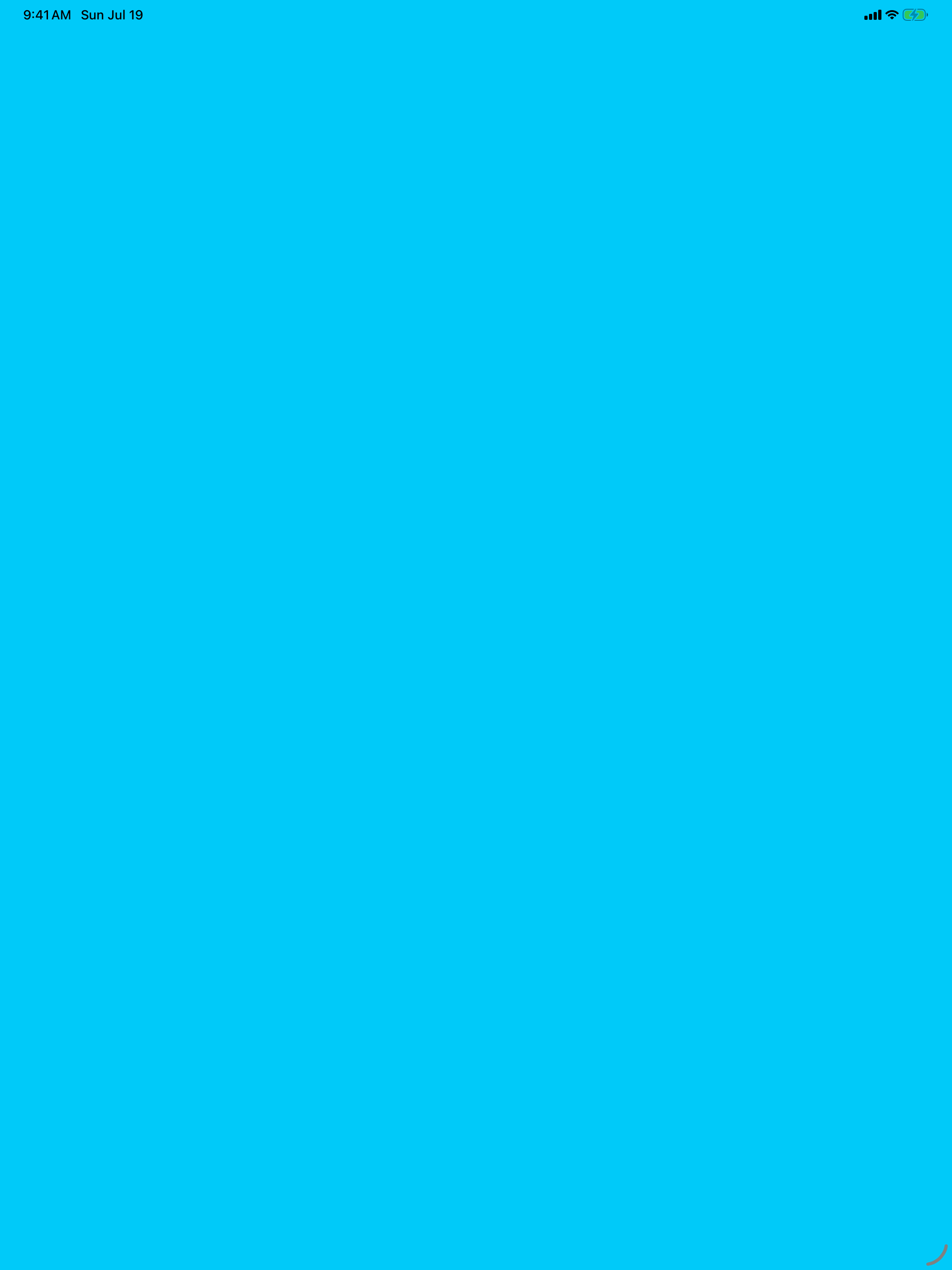 Loopstamp: I/O Checkout iPad screenshot 1 of 4