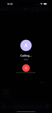 VoidSend iPhone screenshot