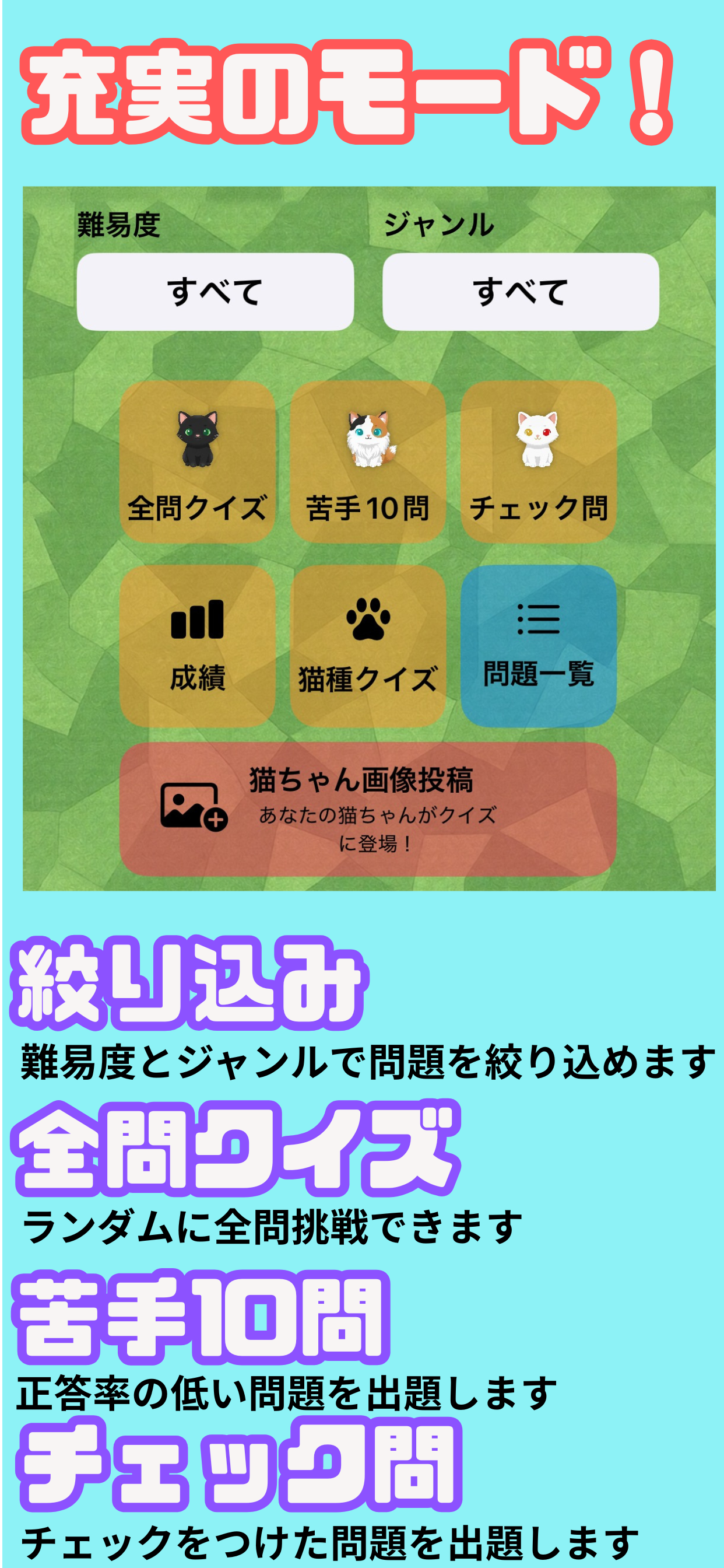 ねこ検クイズ screenshot 5