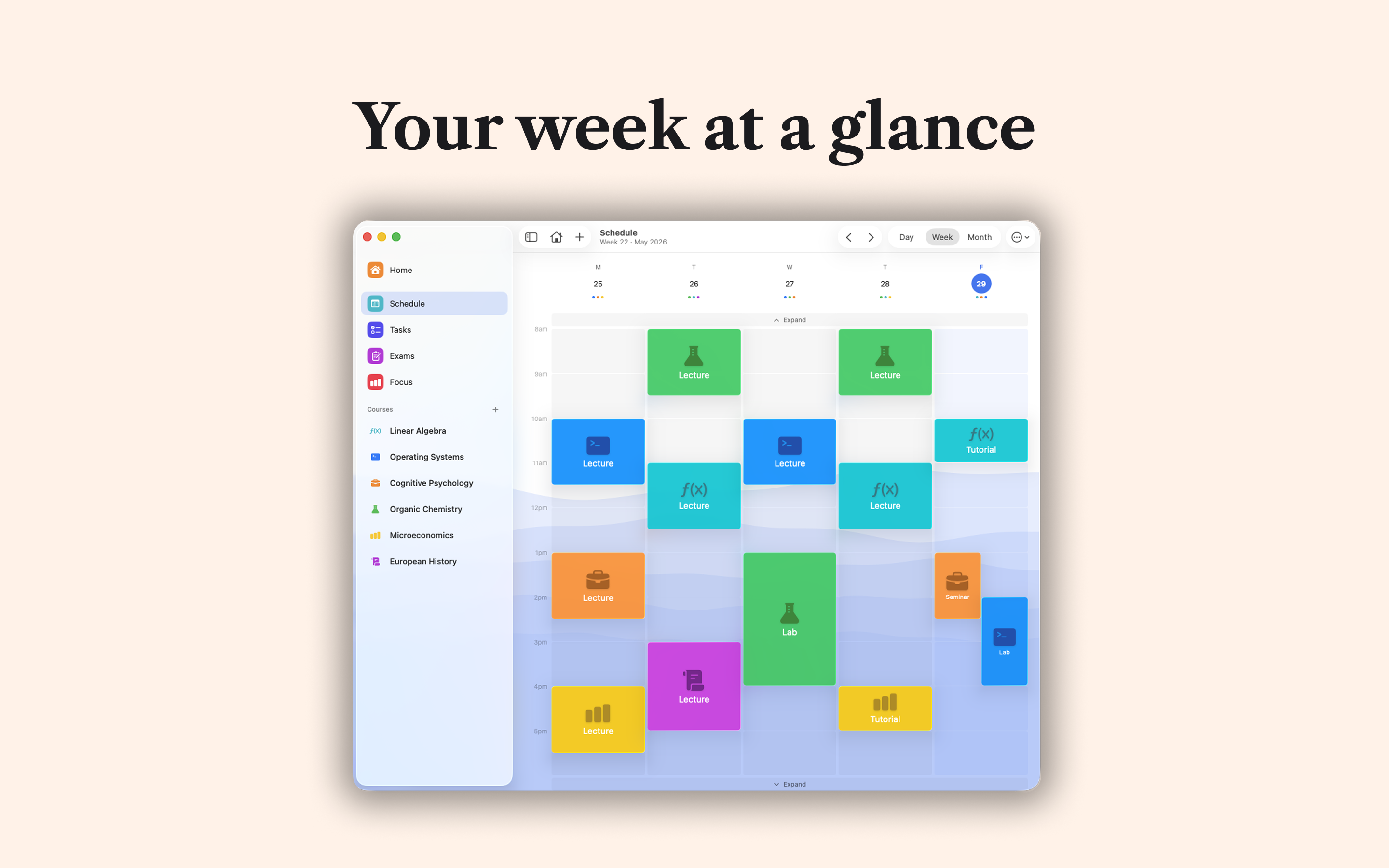 majored: College Study Planner screenshot 15