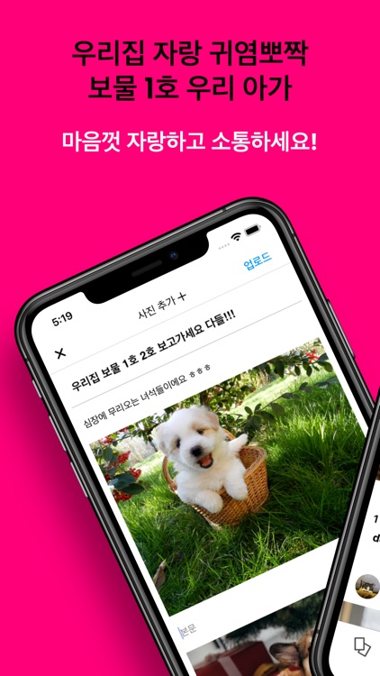 행복하냥사이좋개 - 반려동물 자랑/소통 커뮤니티