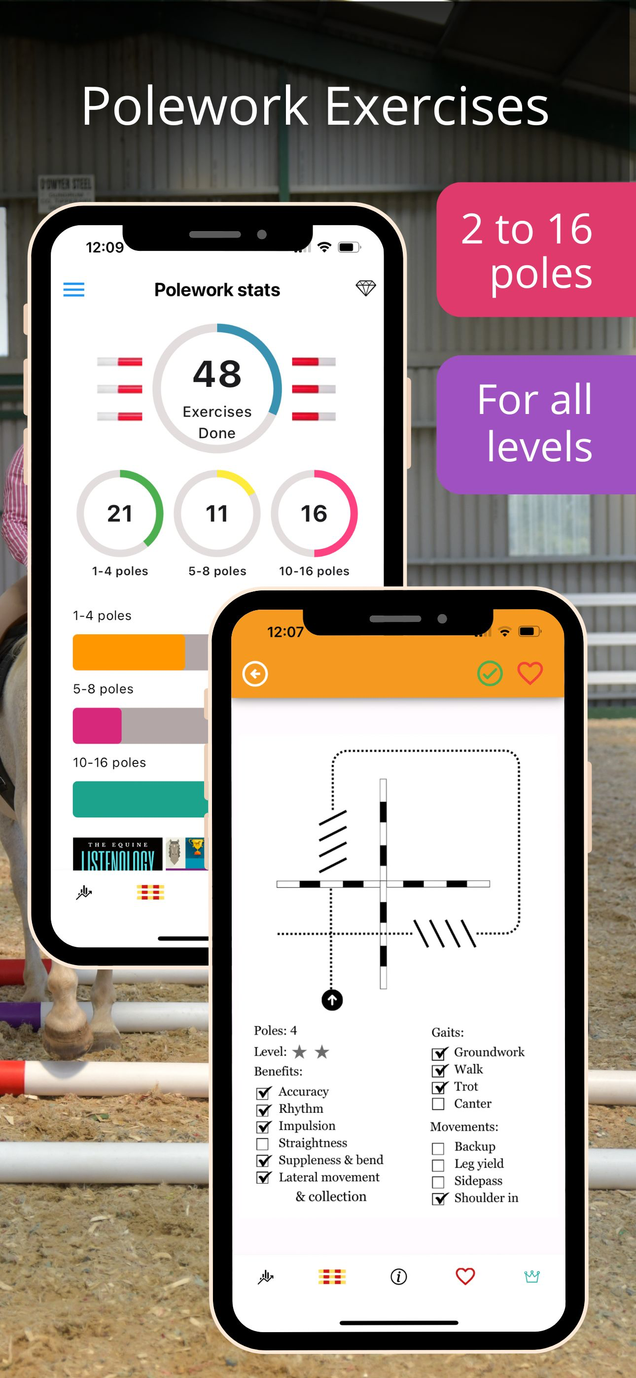 Polework Horse Riding Training