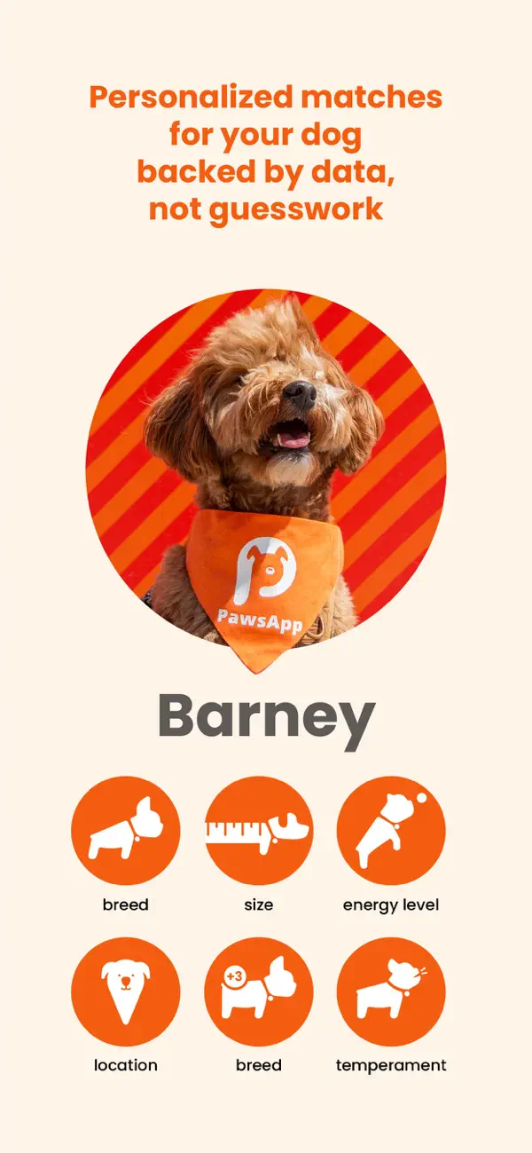 Screenshot #2 pour Pawsapp: Trusted Dog Walkers