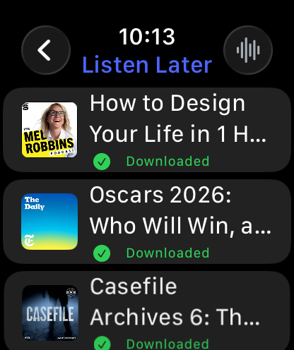 Podcast App screenshot 18
