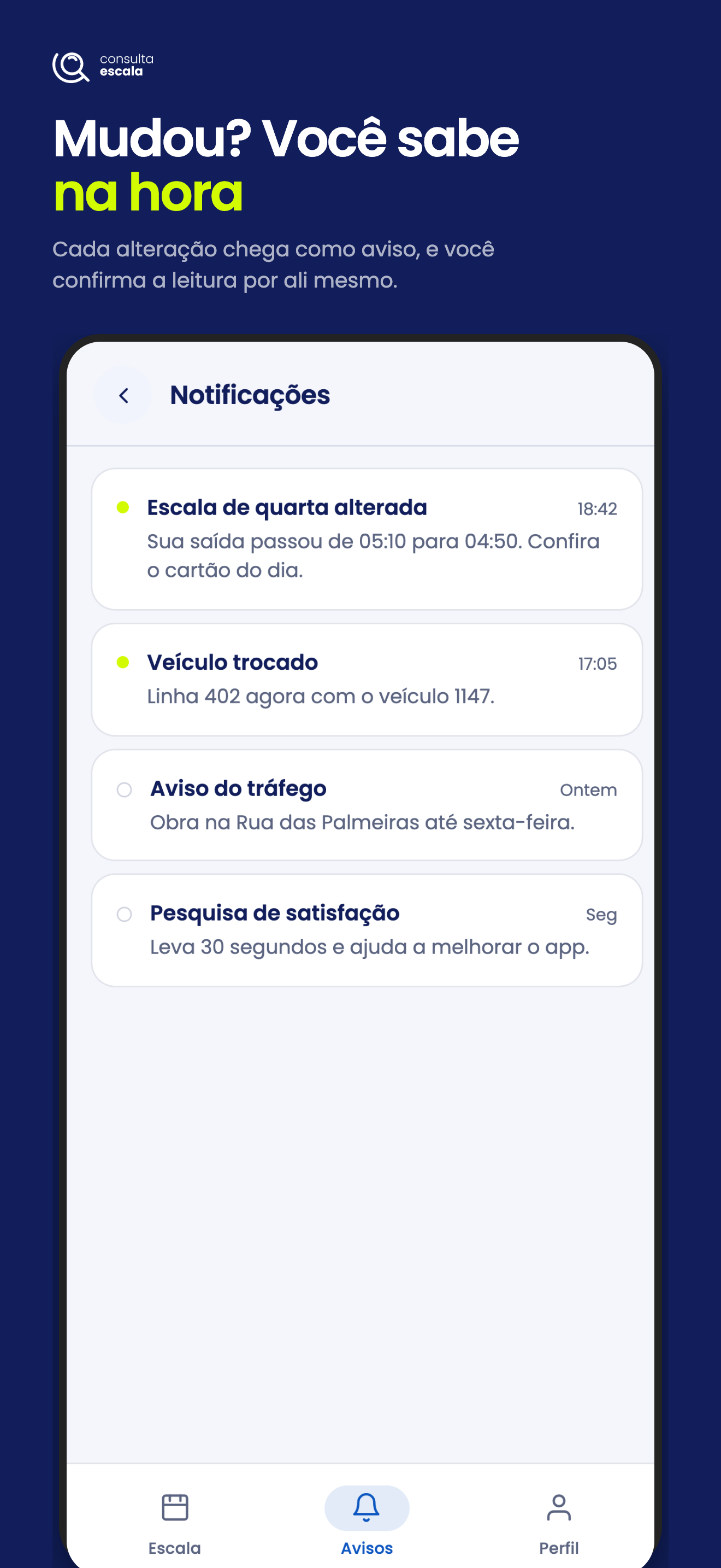 Consulta Escala Motorista screenshot 3