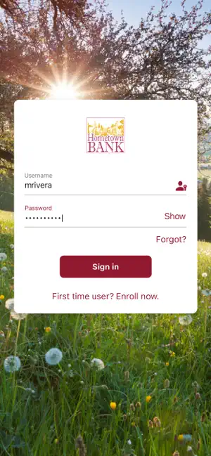 Hometown Bank PA screenshot 2