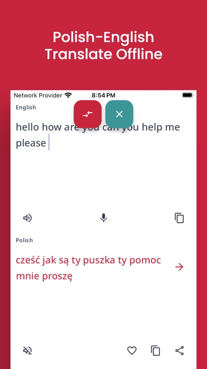 Polish-English Translator