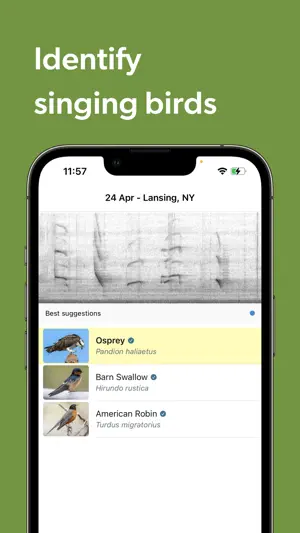 Merlin Bird ID by Cornell Lab screenshot 5