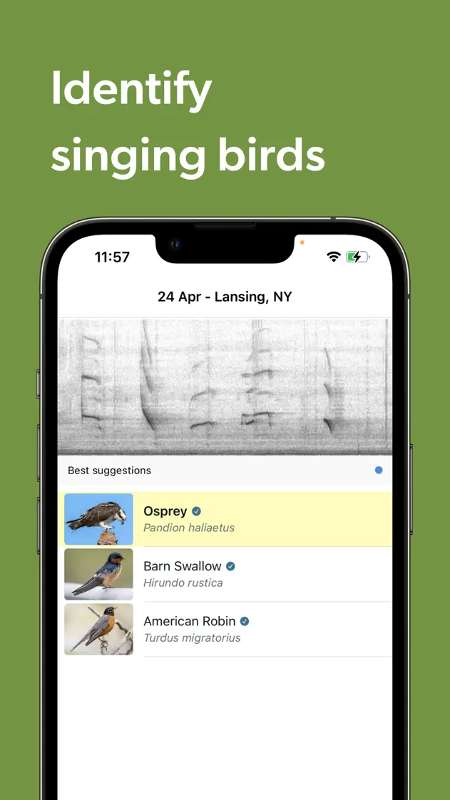 Merlin Bird ID, App Store screenshot 5