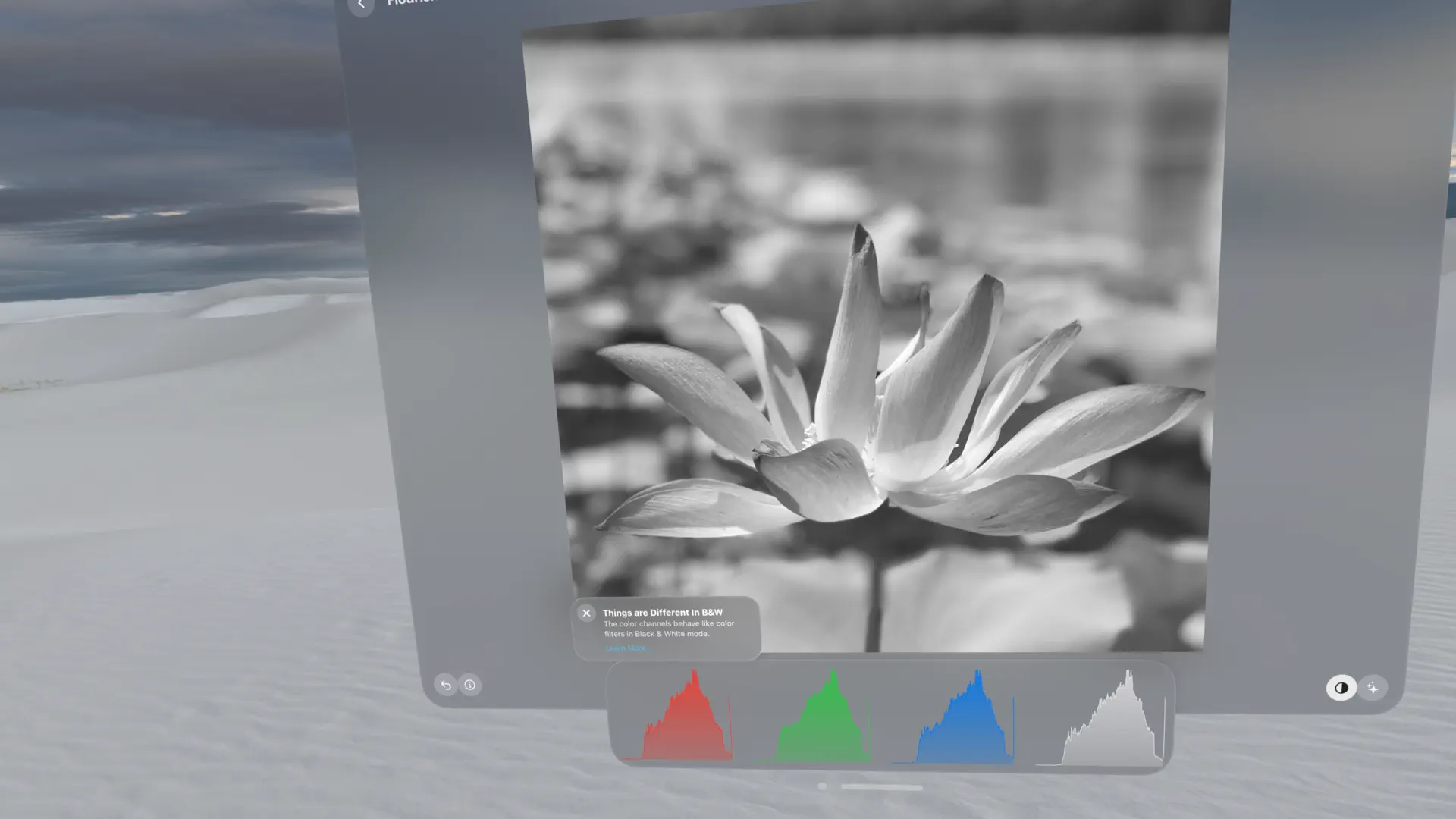 Flourish - Color Photo Editor screenshot 2