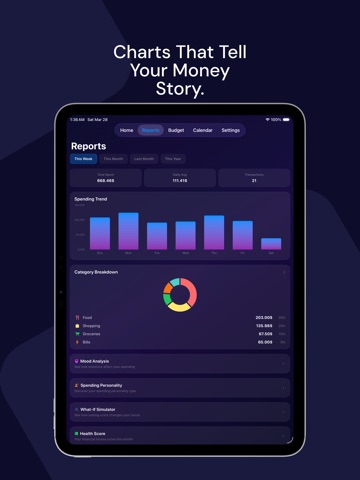 MoodSpend: Expense & Budget iPad screenshot