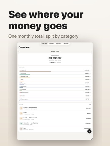 Walti: Expense Tracker iPad screenshot