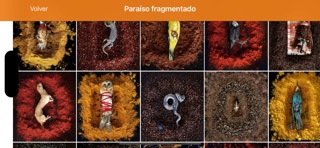 Museo Belas Artes da Coruña screenshot