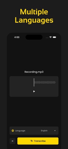 Offline Transcribe, TranscriAI screenshot