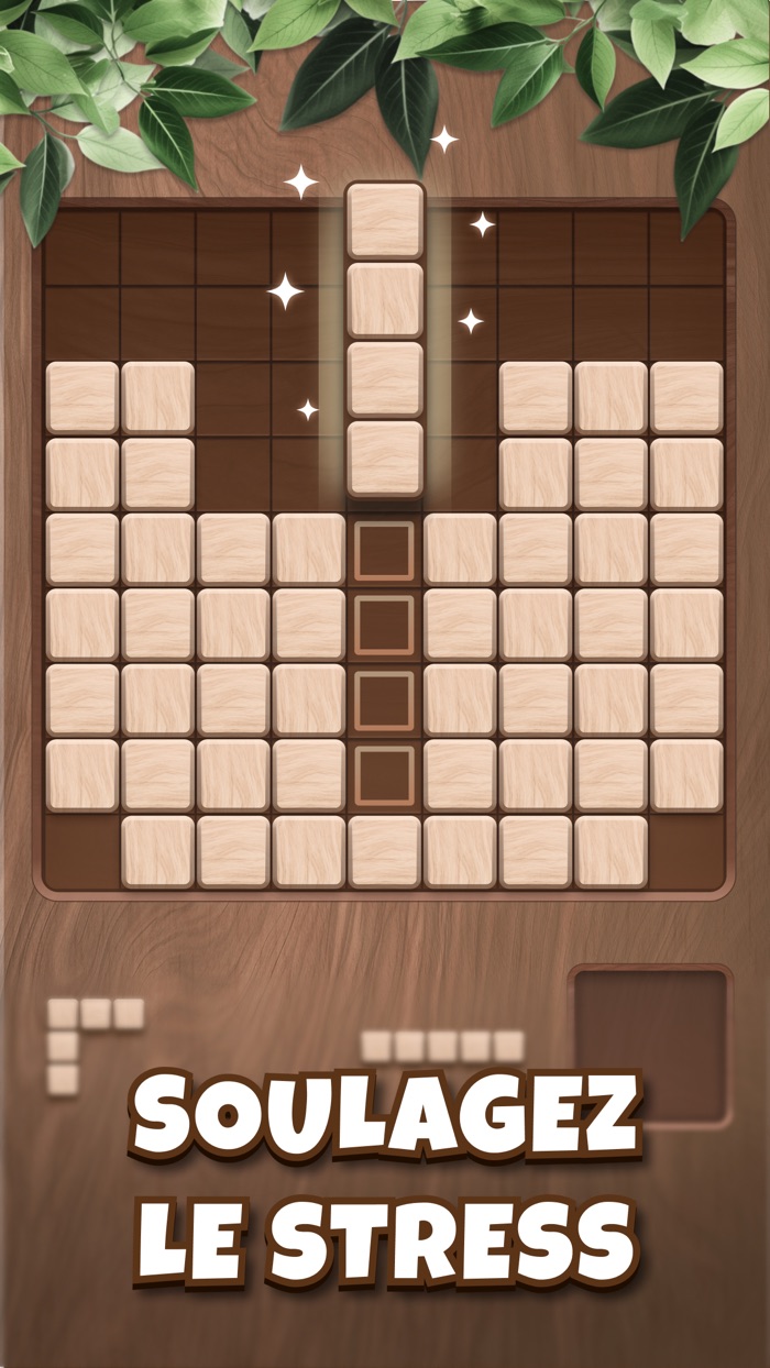 Woody Block Puzzle Cube Block