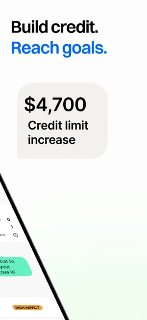 Build Credit & Money: Dovly AI screenshot 3