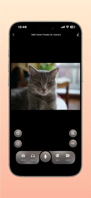 Molly&Cody Smart screenshot 3