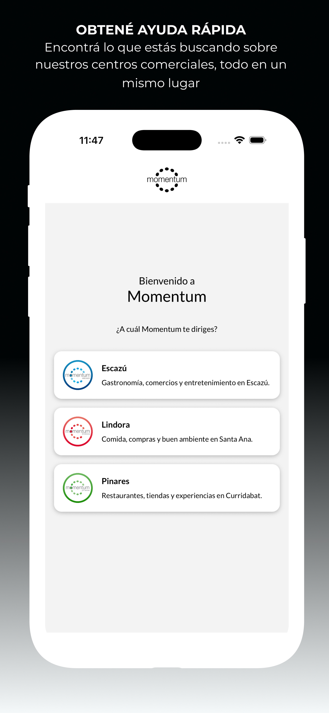 Momentum