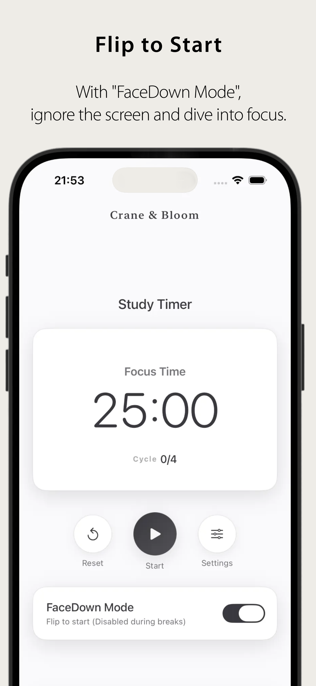 Study Timer: Crane & Bloom