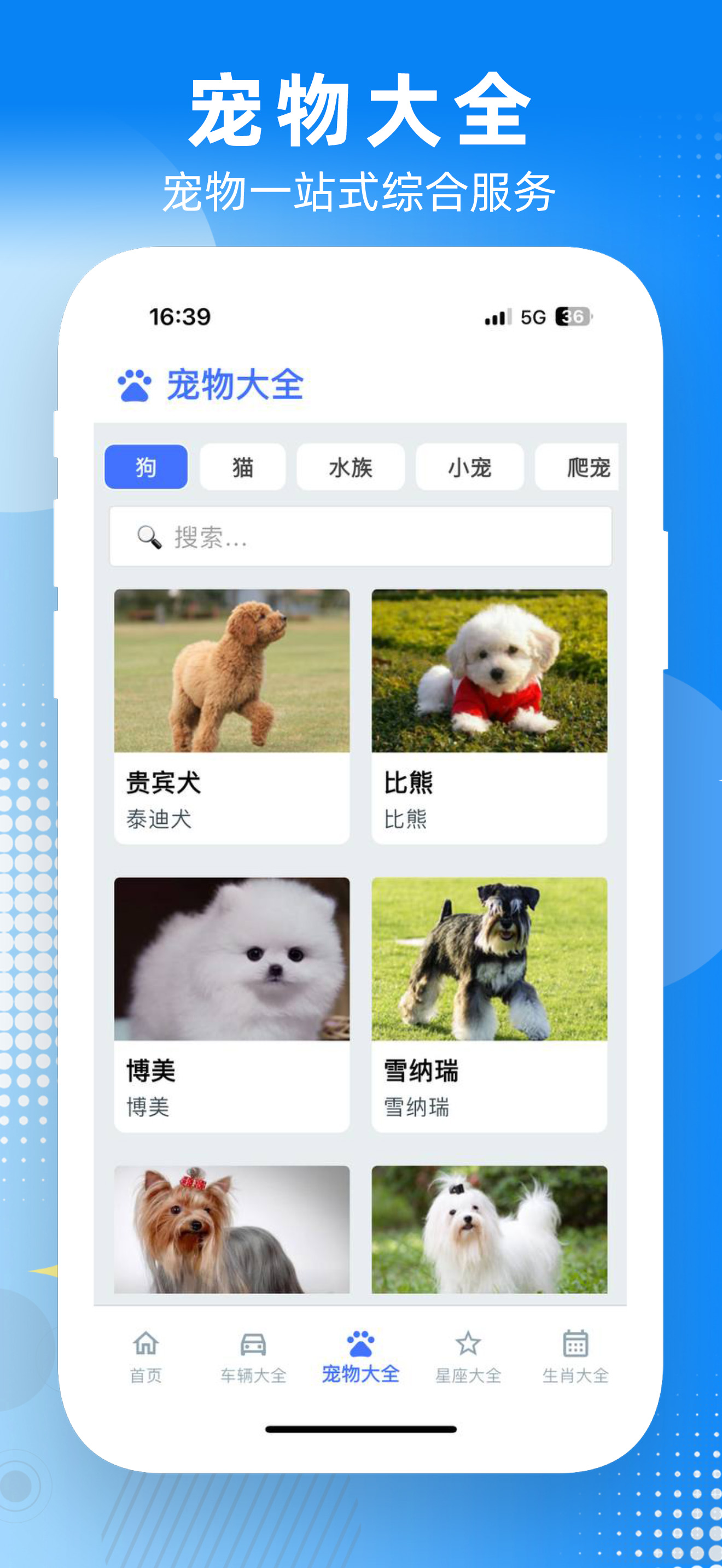 YunSearch - Global Info