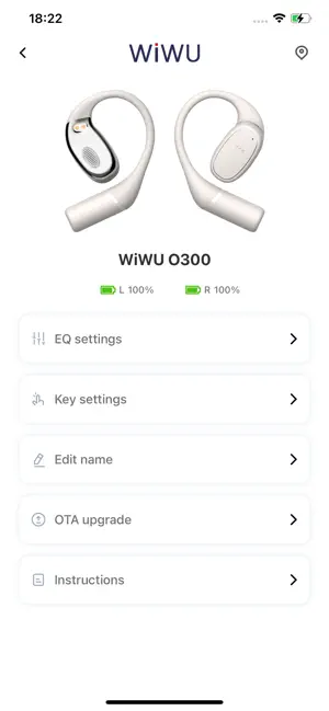 WiWU Audio screenshot 2