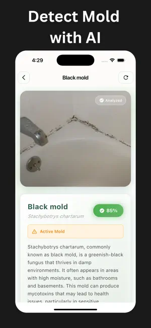 Mold Identifier: AI Scan screenshot 3