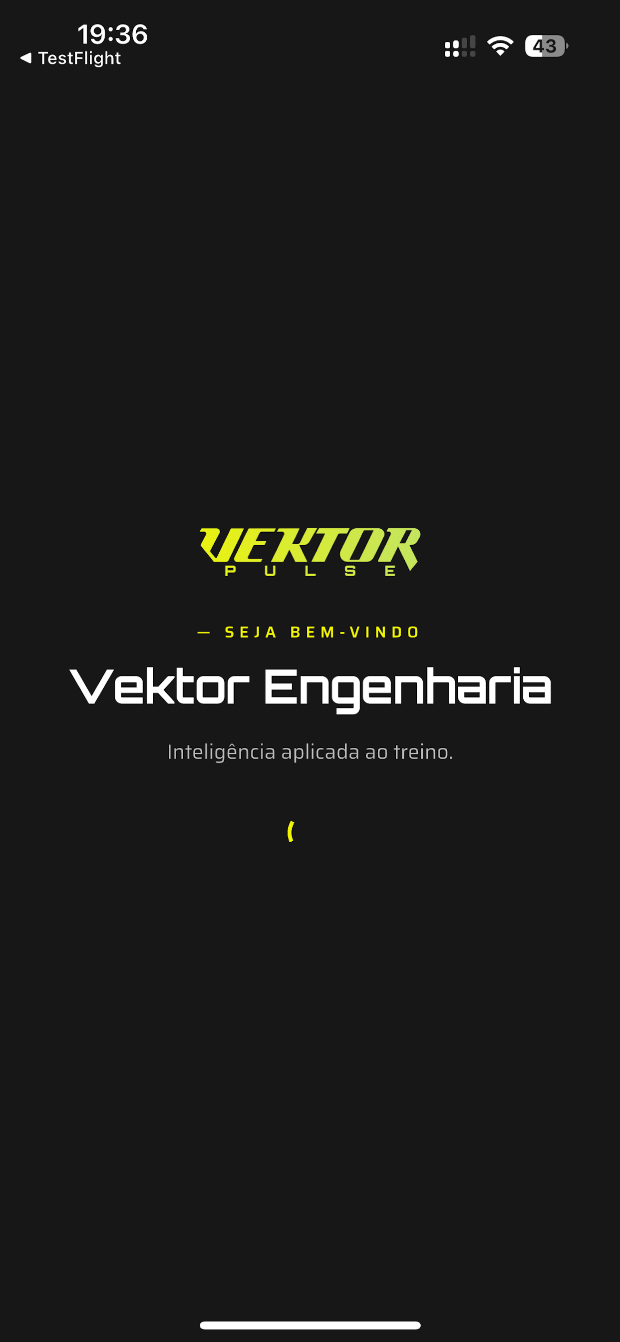 Vektor Pulse - Treino