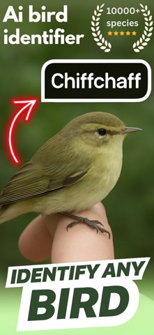 bird identifier ° Screenshot 1 of 5