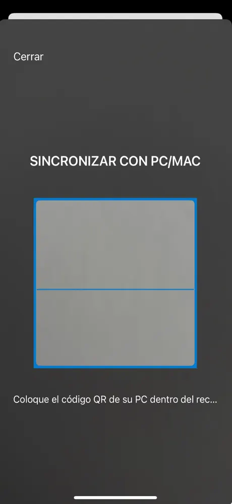 DNI Remoto screenshot 3