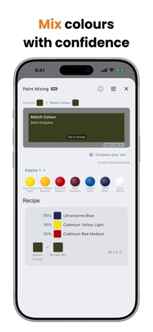 Color Study: Simplify Painting iPhone screenshot 4