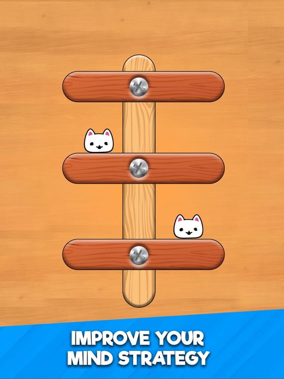 Nuts & Bolts Cat Escape Puzzle