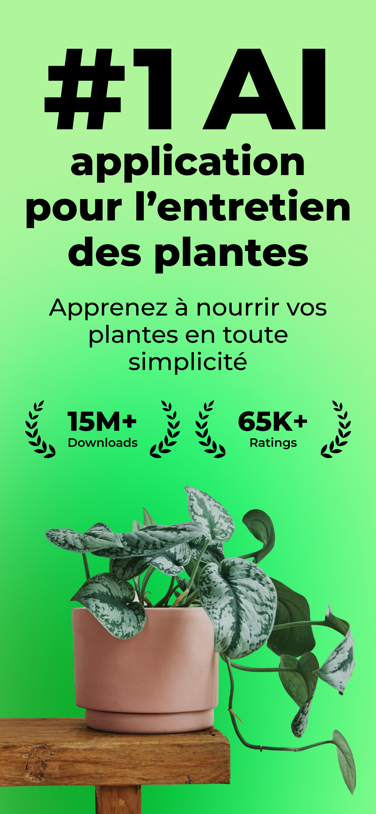 PlantSnap: reconnaitre plante